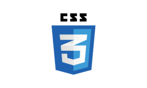 CSS Web Services and Development